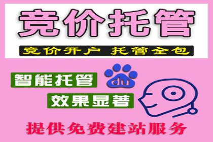 行业领先企业的SEM代运营成功之路