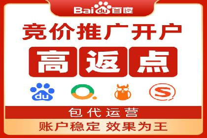 某公司通过竞价SEM优化搜索引擎排名案例